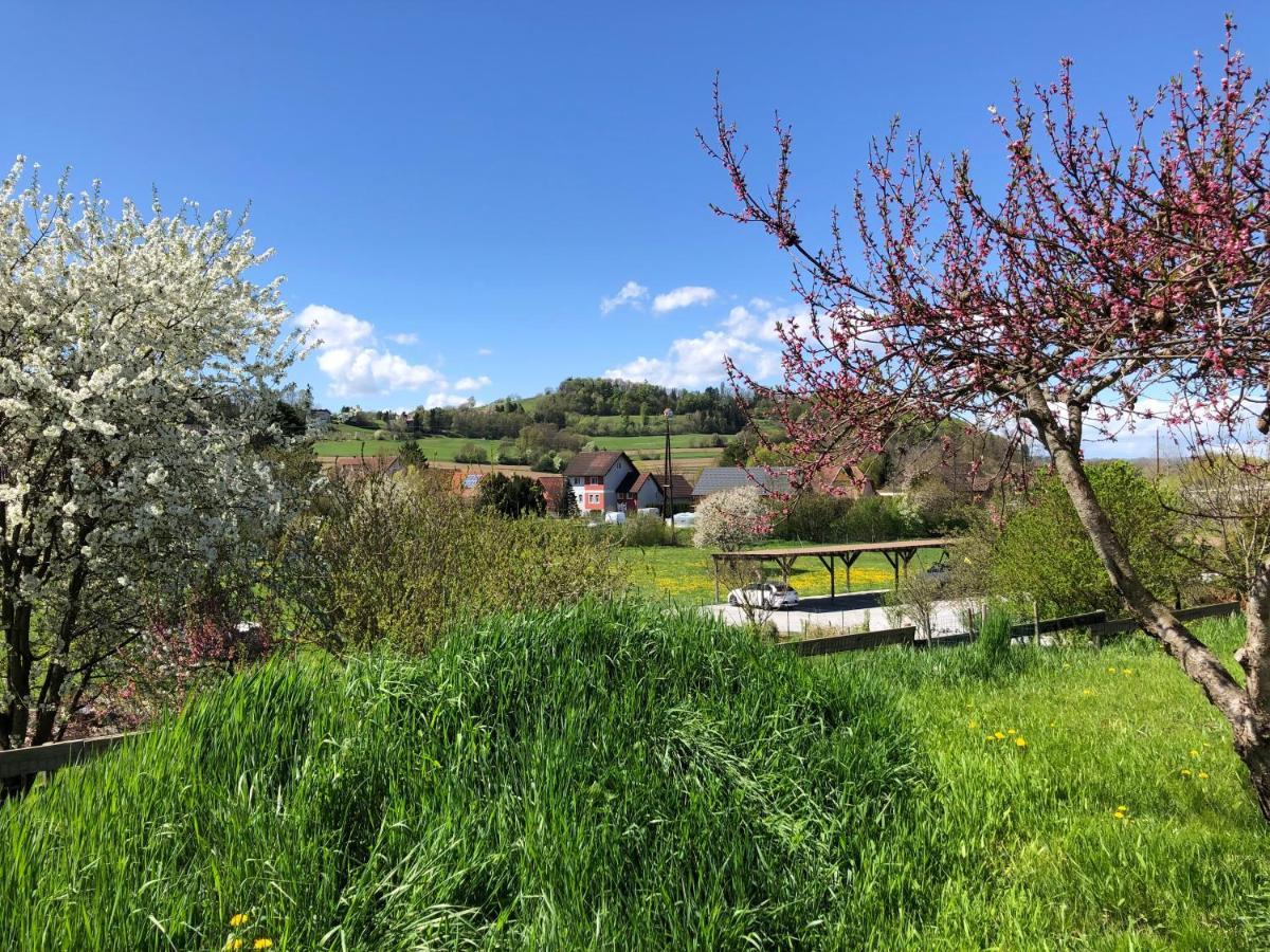 Ferienwohnungen Und Appartements Im Idyllischen Vierkanthof, Gruppenurlaube Loipersdorf bei Fürstenfeld Exterior foto