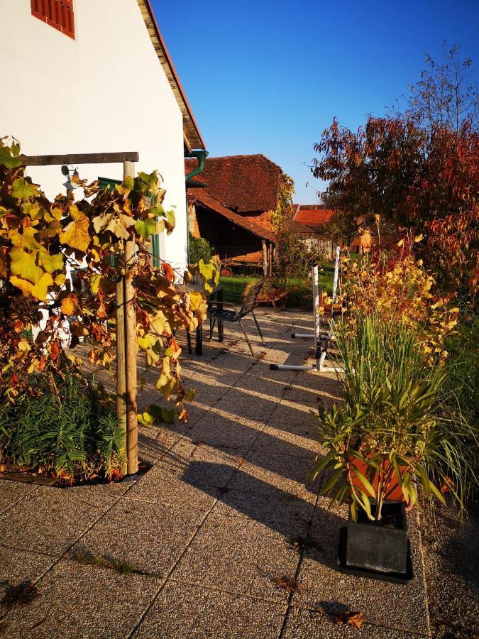 Ferienwohnungen Und Appartements Im Idyllischen Vierkanthof, Gruppenurlaube Loipersdorf bei Fürstenfeld Exterior foto